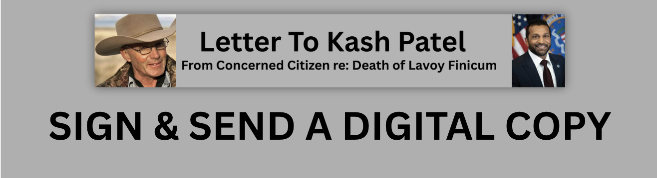 Letter Banner